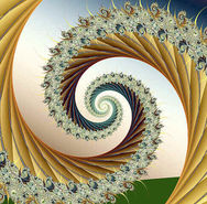 curl1491.jpg